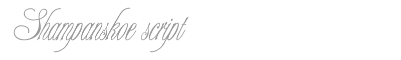 Shampanskoe script