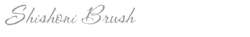Shishoni Brush