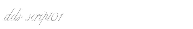 dds script01
