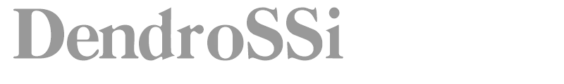 DendroSSi