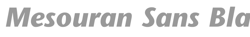 Mesouran Sans Black SSi