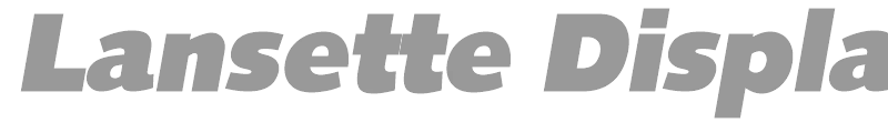 Lansette Display SSi