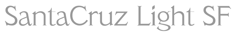 SantaCruz Light SF