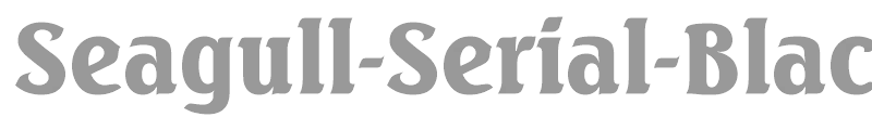 Seagull-Serial-Black