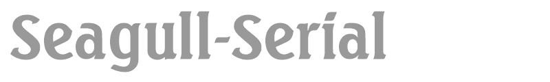 Seagull-Serial