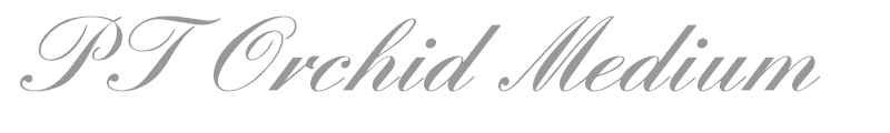 PT Orchid Medium