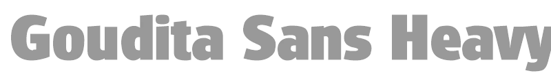 Goudita Sans Heavy SF