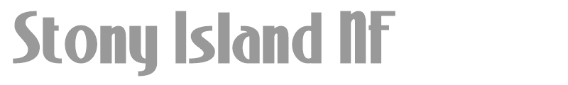 Stony Island Bold