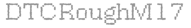DTCRoughM17