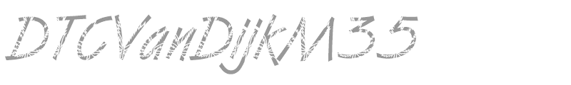 DTCVanDijkM35