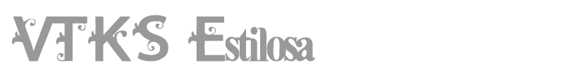 VTKS Estilosa
