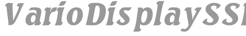 VarioDisplaySSK