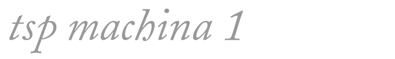 tsp machina 1