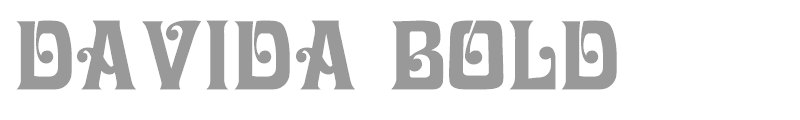 Davida Bold
