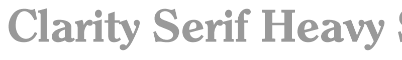 Clarity Serif Heavy SF