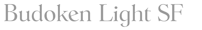 Budoken Light SF