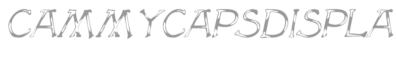 CammyCapsDisplay