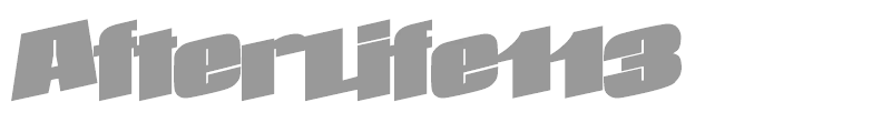 AfterLife113