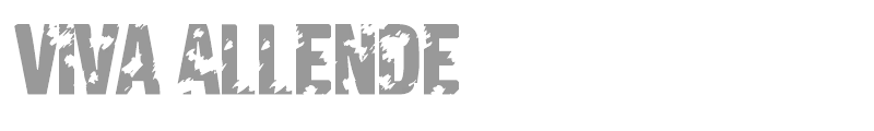 Viva Allende