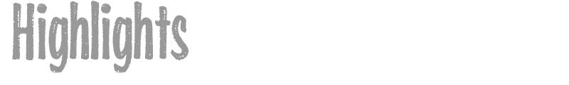 Highlights