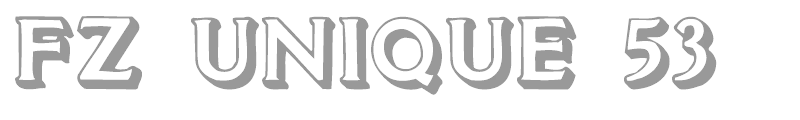FZ UNIQUE 53