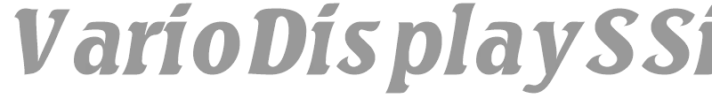 VarioDisplaySSi