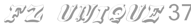 FZ UNIQUE 37 ITALIC