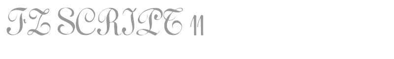 FZ SCRIPT 11