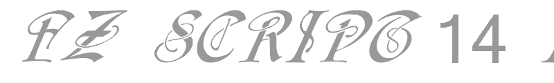 FZ SCRIPT 14 ITALIC