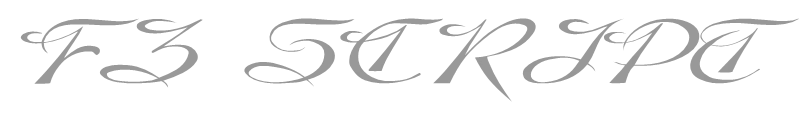 FZ SCRIPT 9 EX