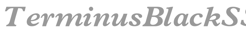 TerminusBlackSSi