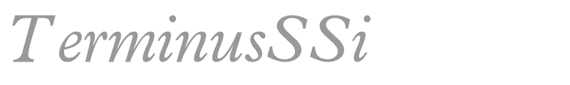 TerminusSSi