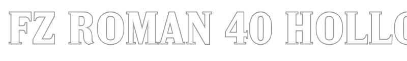 FZ ROMAN 40 HOLLOW