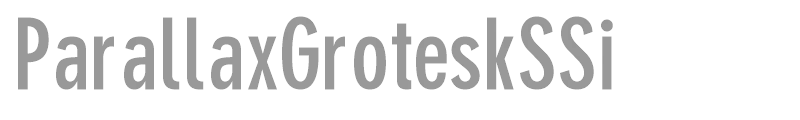 ParallaxGroteskSSi