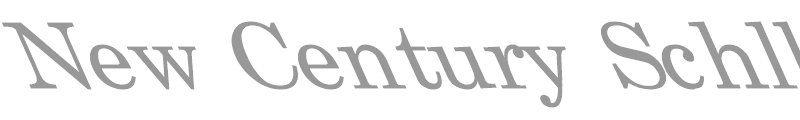 New Century Schlbk-Roman Left