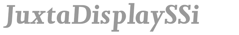 JuxtaDisplaySSi