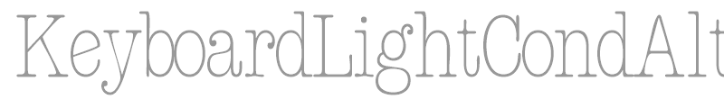 KeyboardLightCondAltSSi
