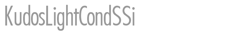 KudosLightCondSSi