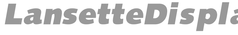 LansetteDisplaySSi
