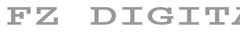 FZ DIGITAL 3 EX