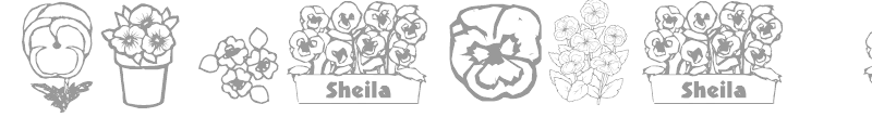 Pansies 4 Sheila