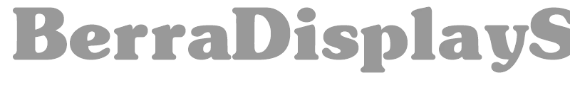 BerraDisplaySSi