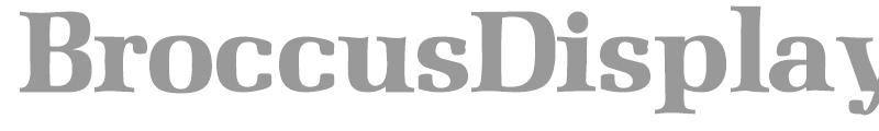 BroccusDisplaySSi