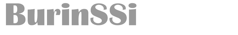 BurinSSi