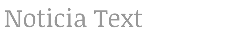 Noticia Text