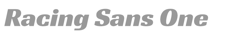 Racing Sans One