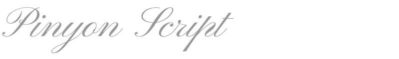Pinyon Script