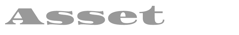 Asset