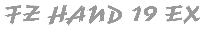 FZ HAND 19 EX