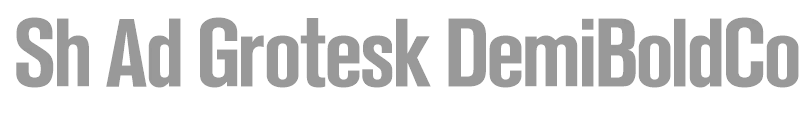 Sh Ad Grotesk DemiBoldCond